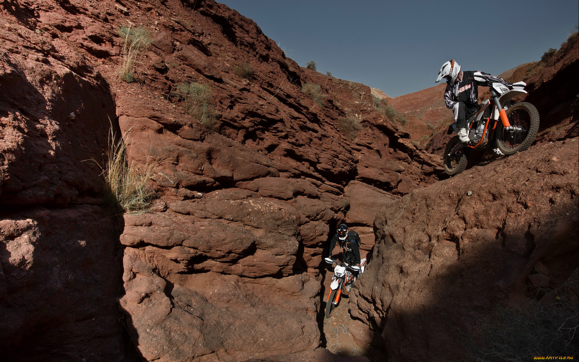 , , , ktm, 350, freeride